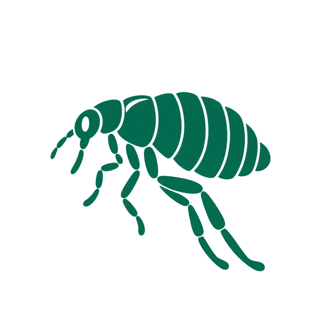 Flöhe