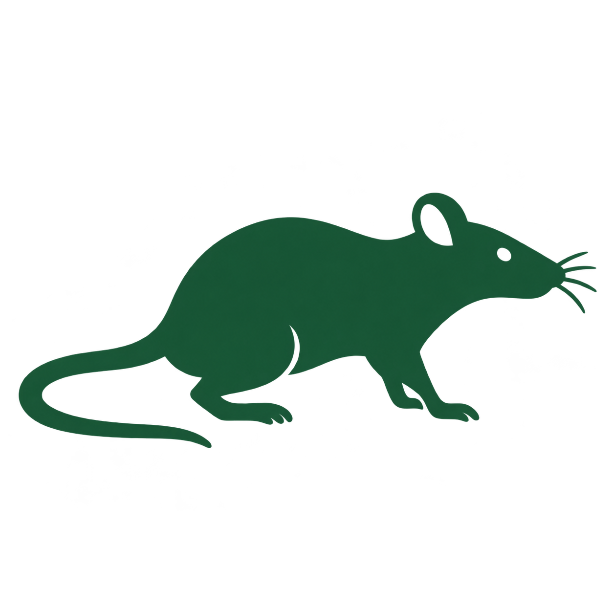 Ratten